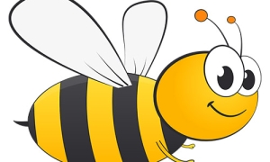 کاربرگ "به زنبور در تولید عسل کمک کن!